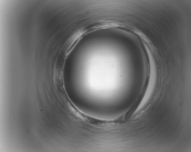 X0000081611193200701221154