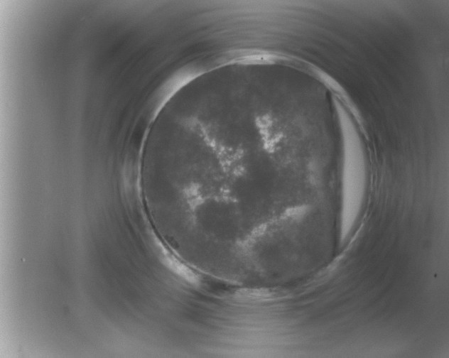 X0000081611194200701221154