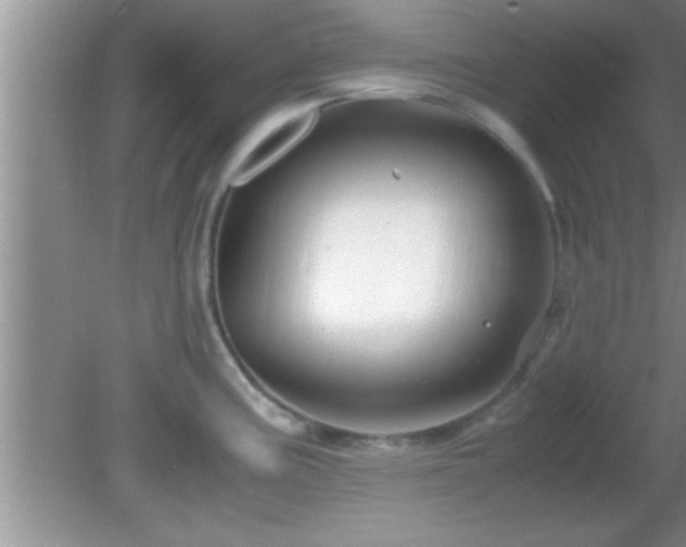 X0000081611195200701221154