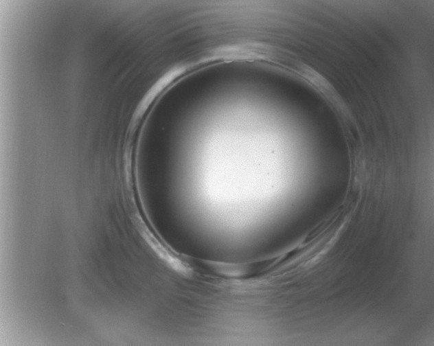 X0000081611196200701221154