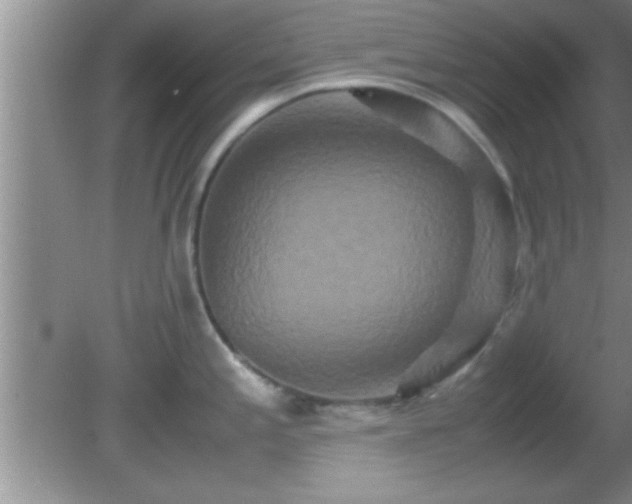 X0000081611197200701221154