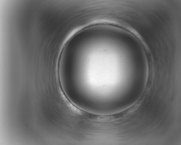 X0000081611199200701221154