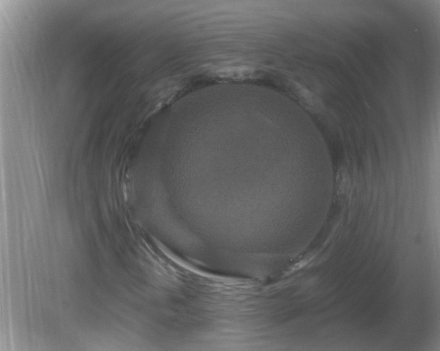 X0000081611202200701221153