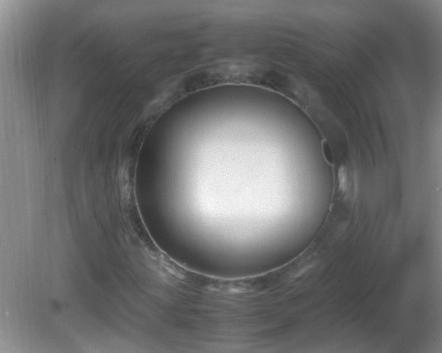 X0000081611203200701221153