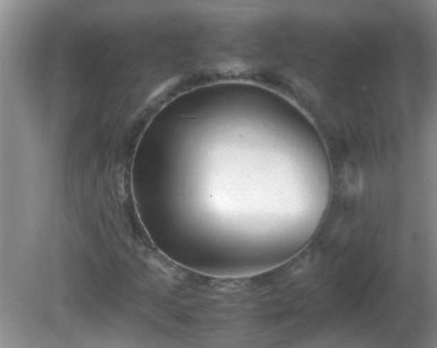 X0000081611205200701221153