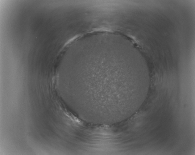 X0000081611206200701221153