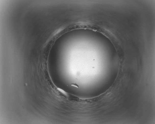 X0000081611207200701221153