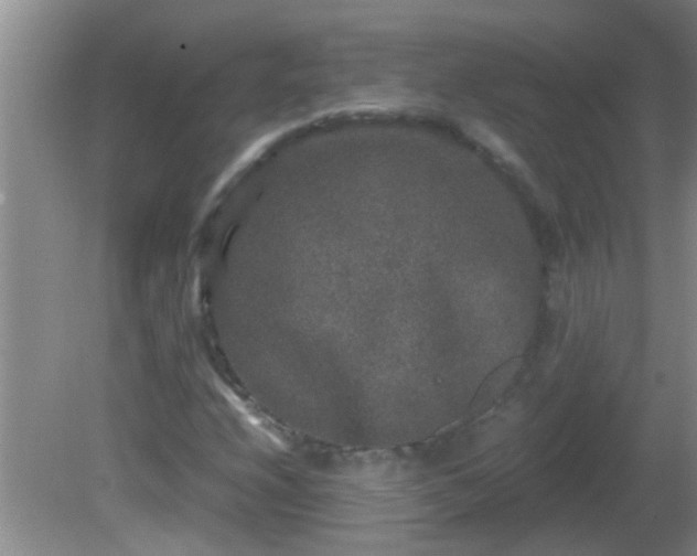 X0000081611208200701221153