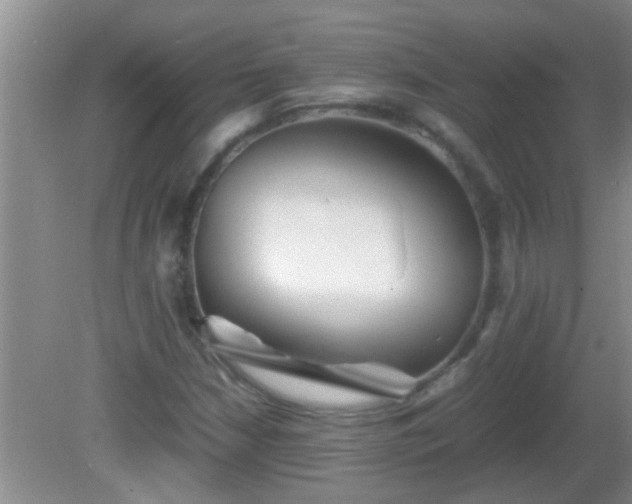 X0000081611210200701221153