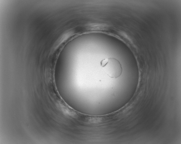 X0000081611211200701221153