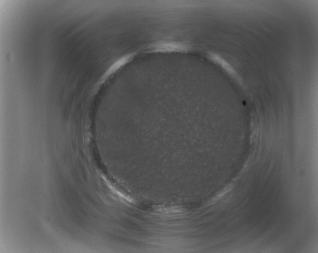 X0000081611213200701221153