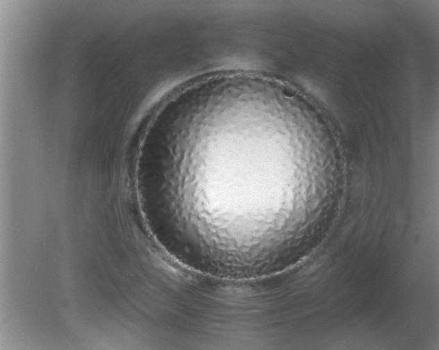 X0000081611215200701221153