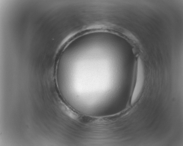 X0000081611216200701221153