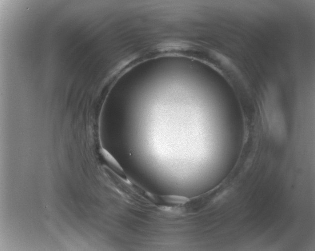 X0000081611217200701221153