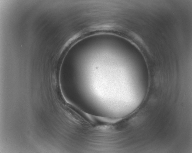 X0000081611218200701221153