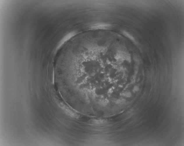 X0000081611219200701221153