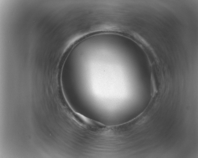 X0000081611222200701221154