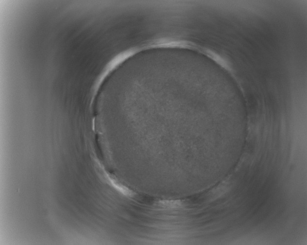 X0000081611223200701221154