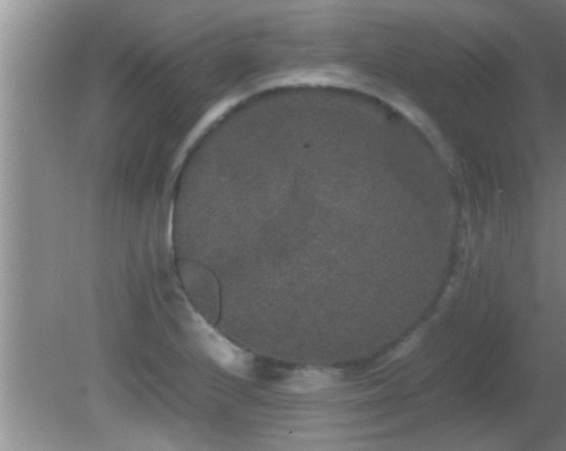 X0000081611224200701221154