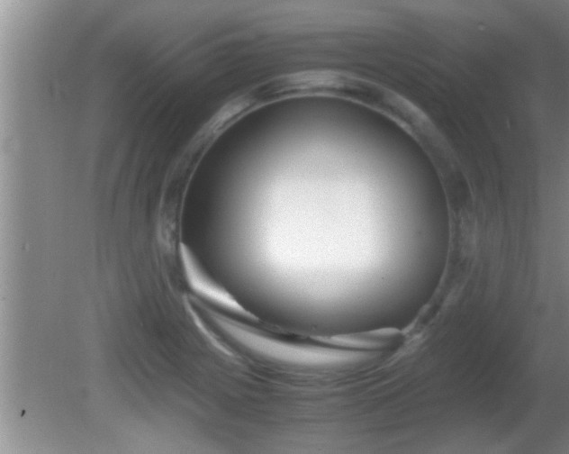 X0000081611225200701221154