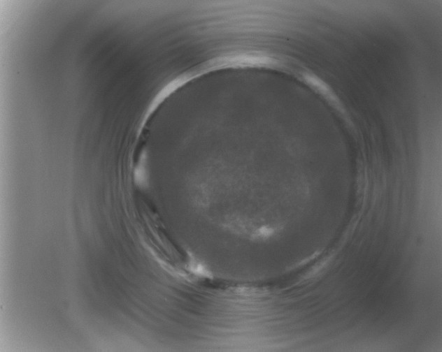 X0000081611226200701221154