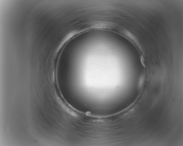 X0000081611227200701221154