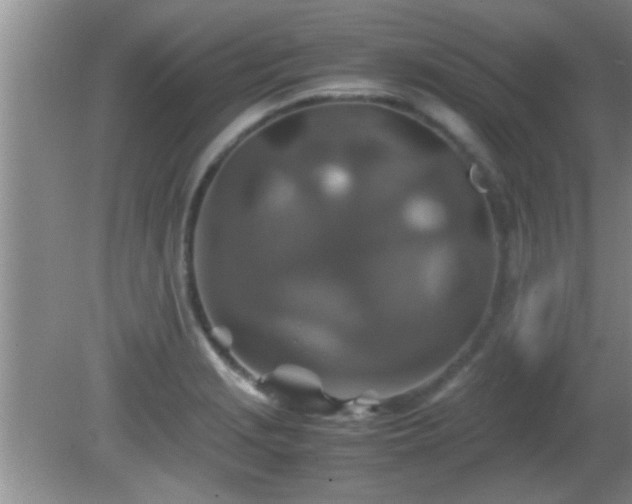 X0000081611229200701221154