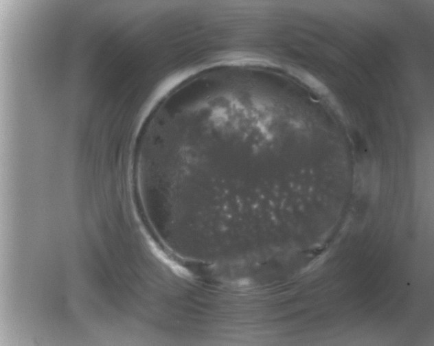 X0000081611231200701221154