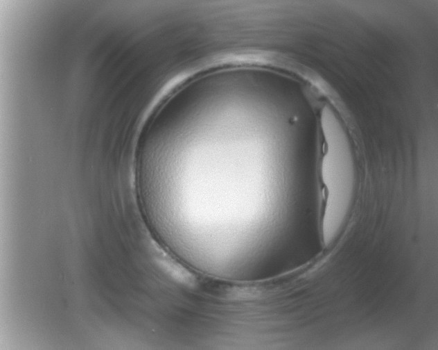 X0000081611232200701221154