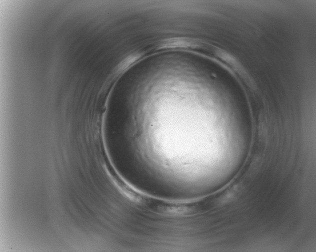 X0000081611233200701221154