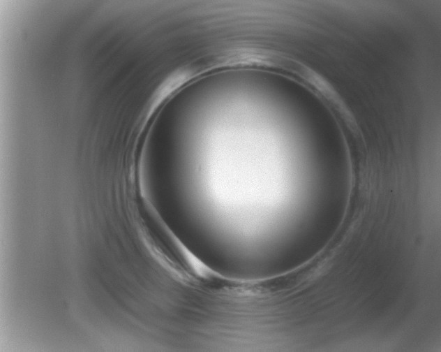 X0000081611234200701221154