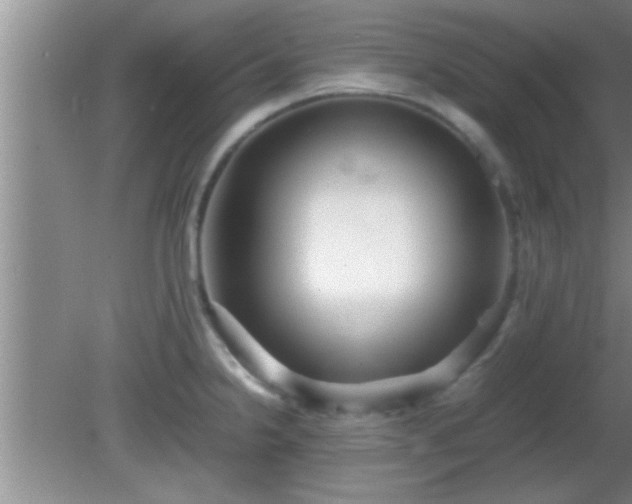 X0000081611238200701221154