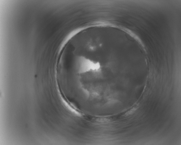 X0000081611239200701221154