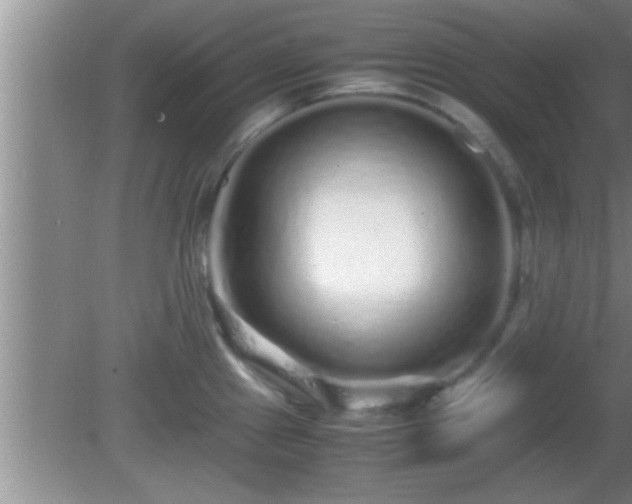 X0000081611241200701221154