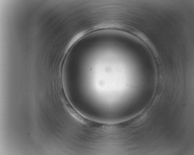 X0000081611242200701221154