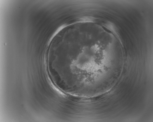 X0000081611243200701221154