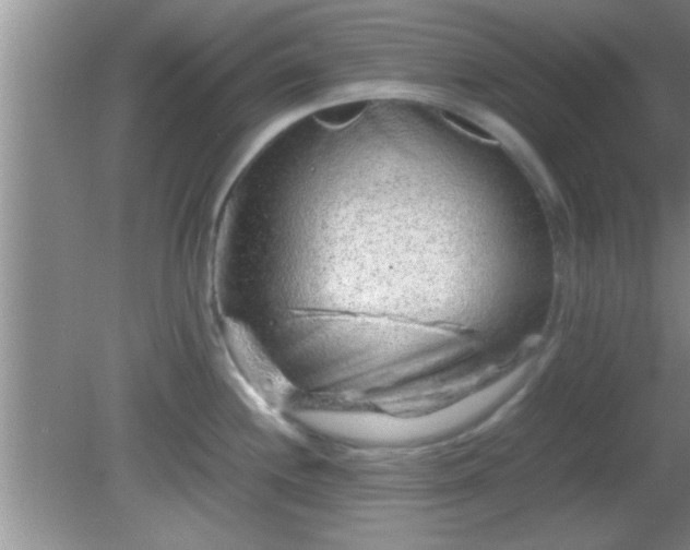 X0000081611244200701221154