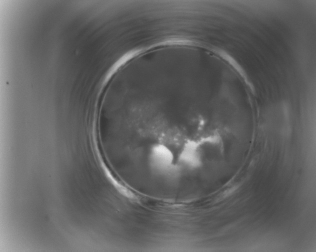 X0000081611245200701221154