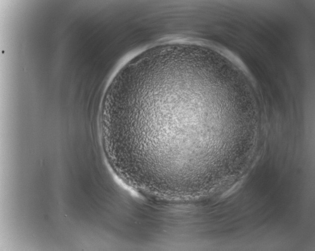 X0000081611247200701221154