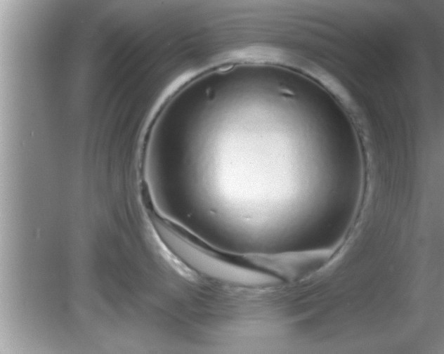 X0000081611248200701221154