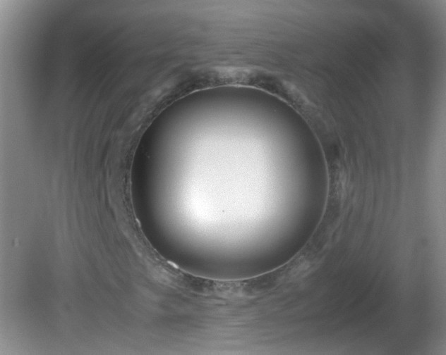 X0000081611249200701221153