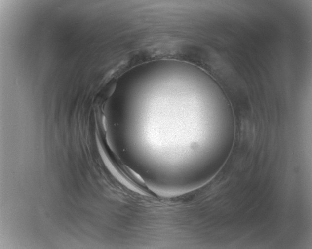 X0000081611250200701221153