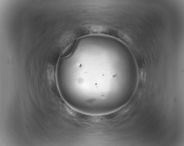 X0000081611251200701221153