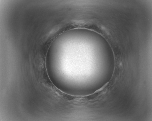 X0000081611253200701221153