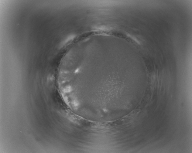 X0000081611254200701221153