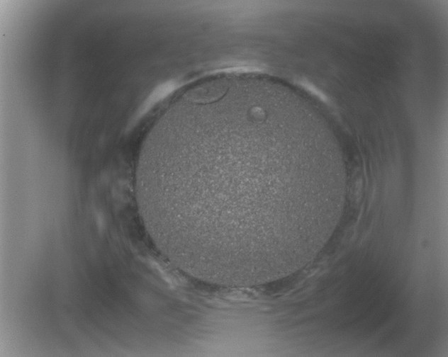 X0000081611255200701221153