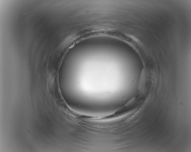 X0000081611257200701221153