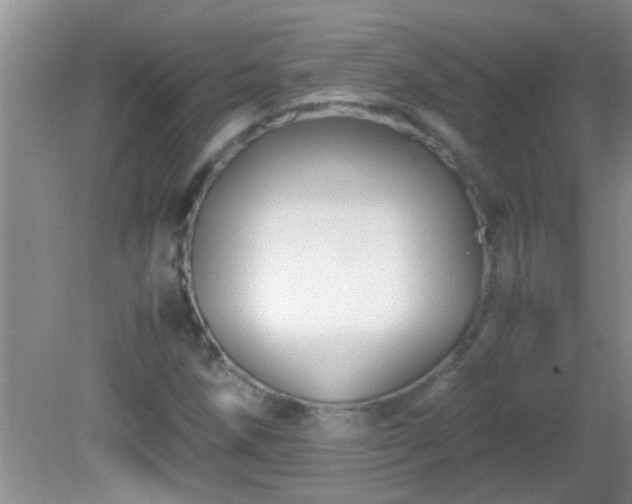 X0000081611258200701221153