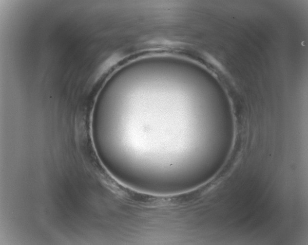 X0000081611259200701221153