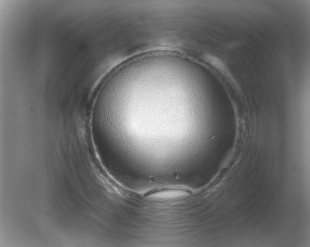 X0000081611260200701221153